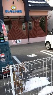 はしもと小児科