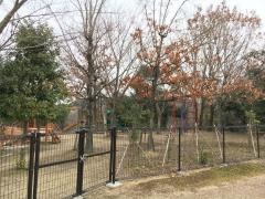 くらしき作陽大学付属認定こども園
