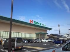 ハローズ今治店