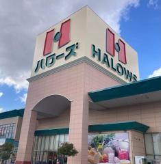 ハローズ今治店