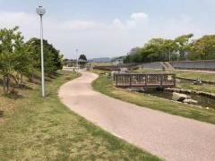 Ｓｉｏトープ（日高港塩屋緑地）