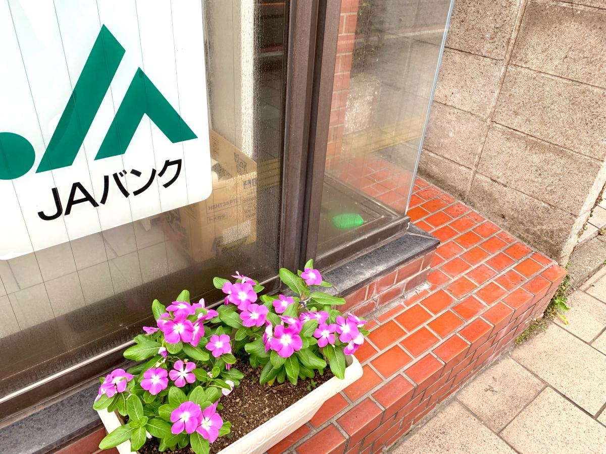 ＪＡ鹿児島みらい 草牟田支店