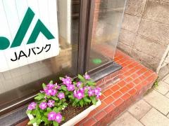 ＪＡ鹿児島みらい草牟田支店
