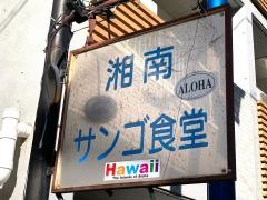 サンゴ食堂
