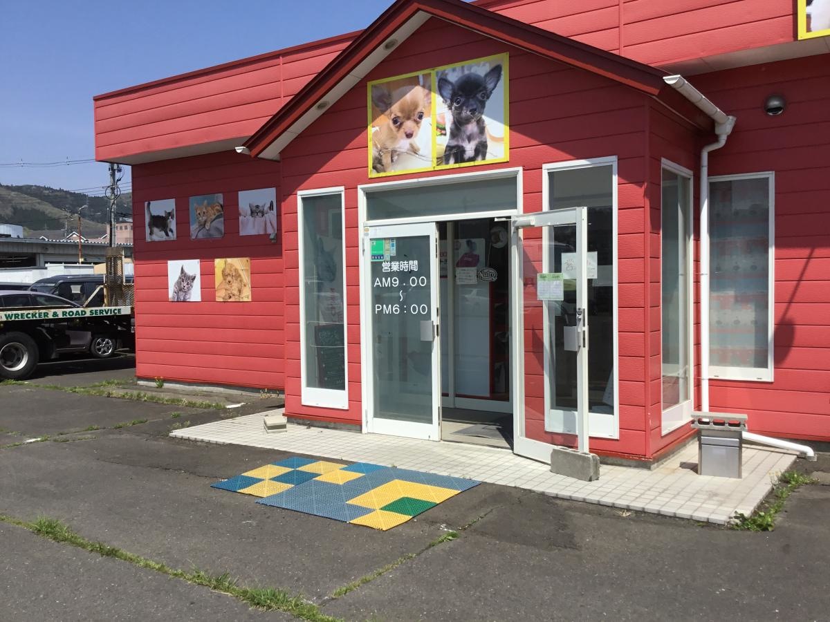 ペット＆2ねん3くみ柴田町店