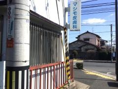マシモ皮膚科