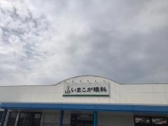 いまこが眼科