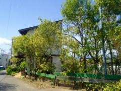 池田の森ベーカリーカフェ
