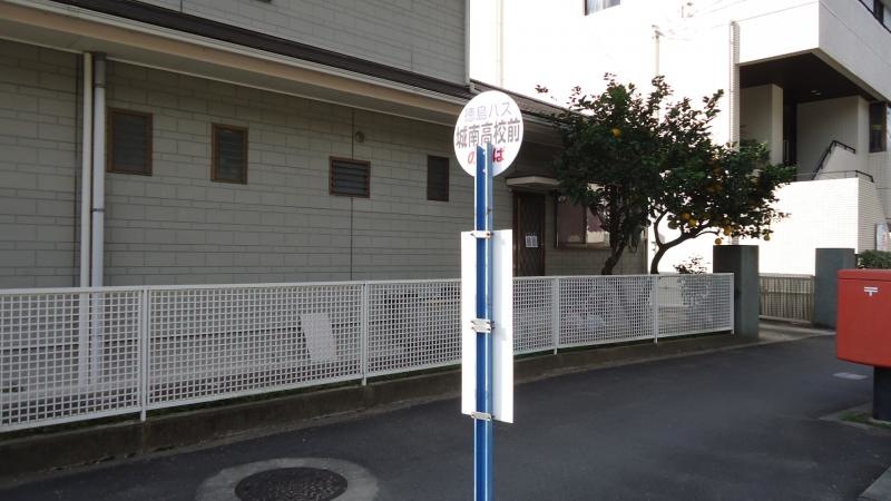 北から撮影