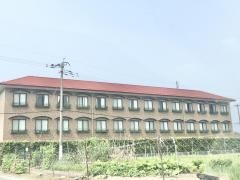 ゆきやなぎ1