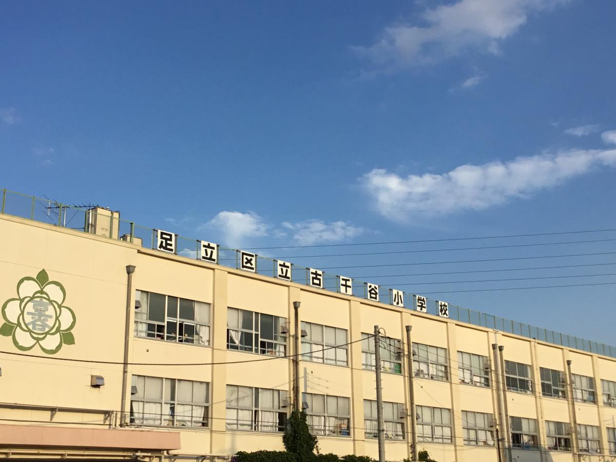 活動歴および当時の関連ビジュアル記録