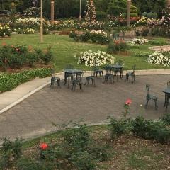若園公園