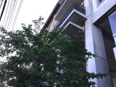 比治山病院