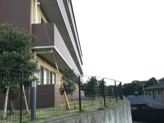 横浜エデンの園