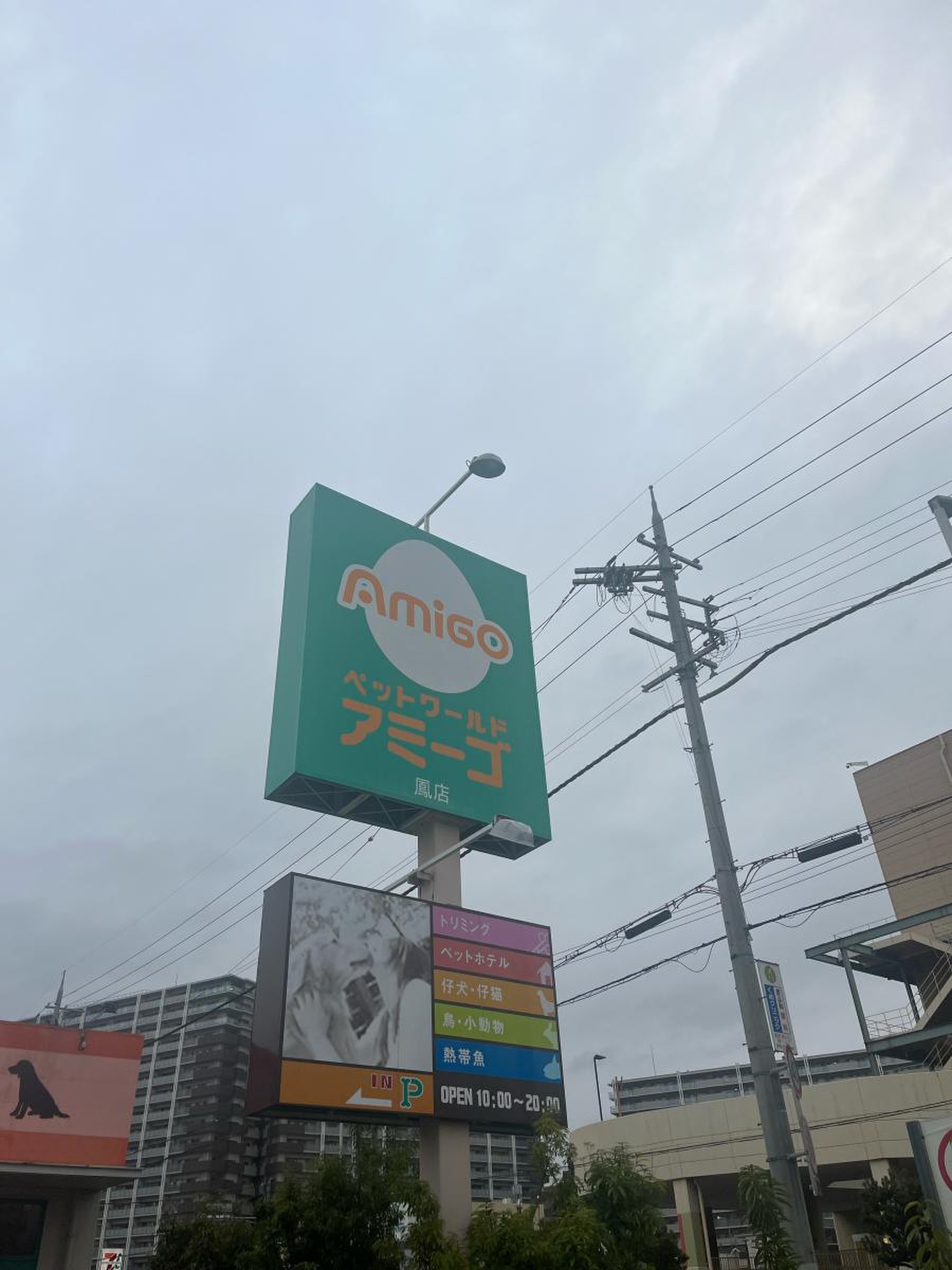 ペット ワールド アミーゴ 鳳 店