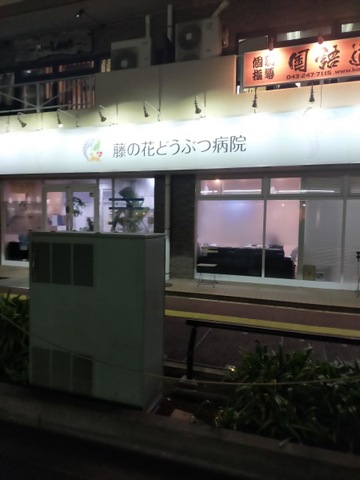 投稿写真2