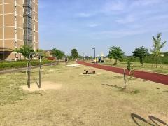 五十部運動公園
