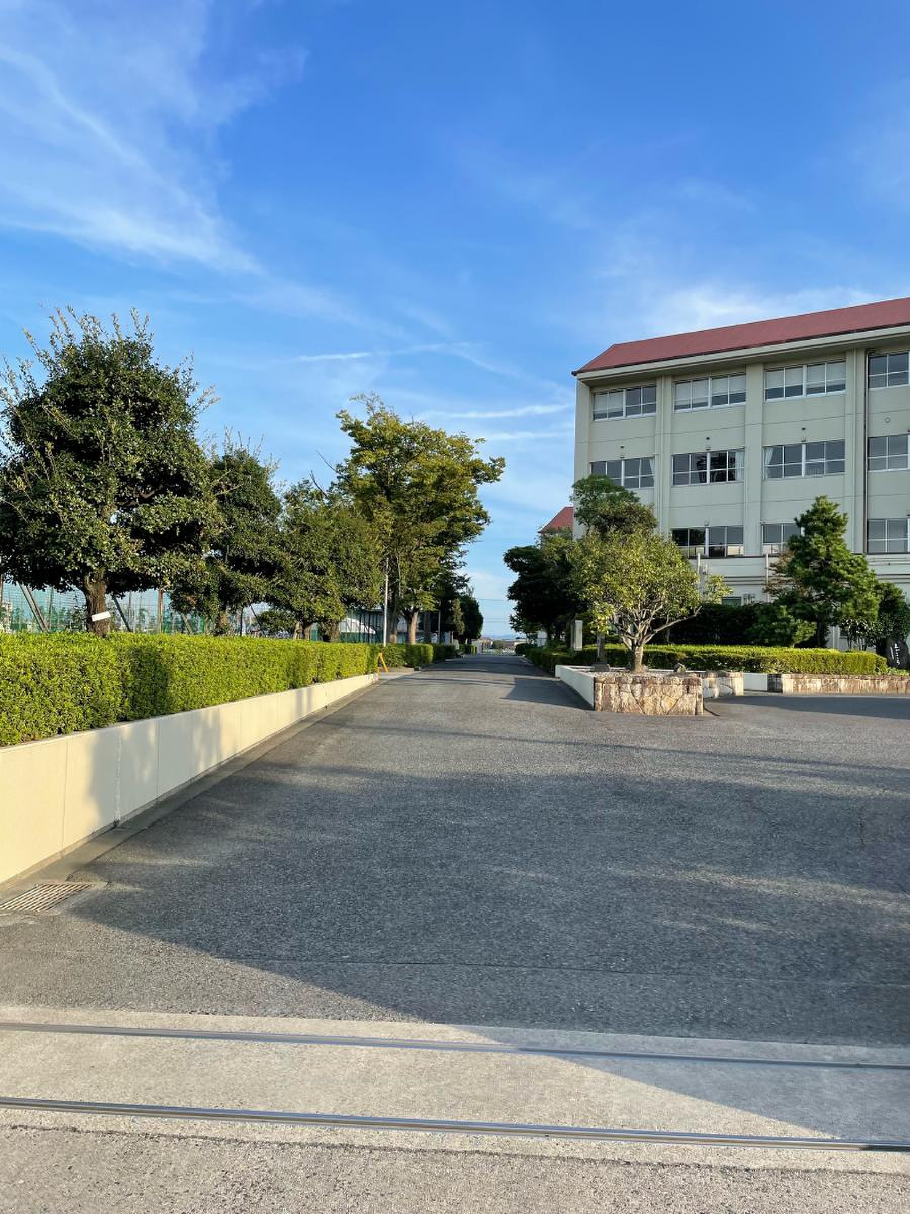 公の場での発言・インタビュー報道記録