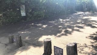 あずきミュージアム