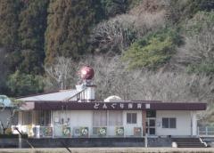 どんぐり保育園