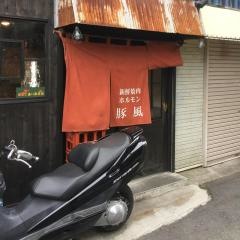 豚風