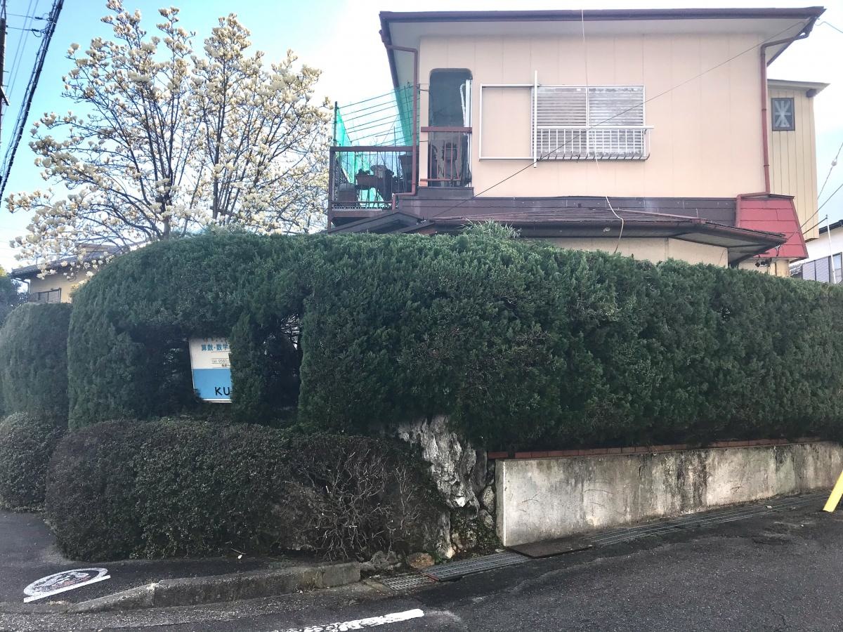 南側からの様子