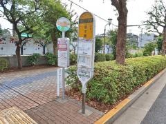 「第三小学校」バス停留所