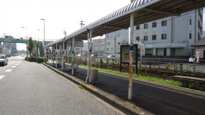 北から撮影