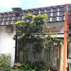 げんき食堂チュン