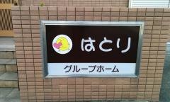 はとり