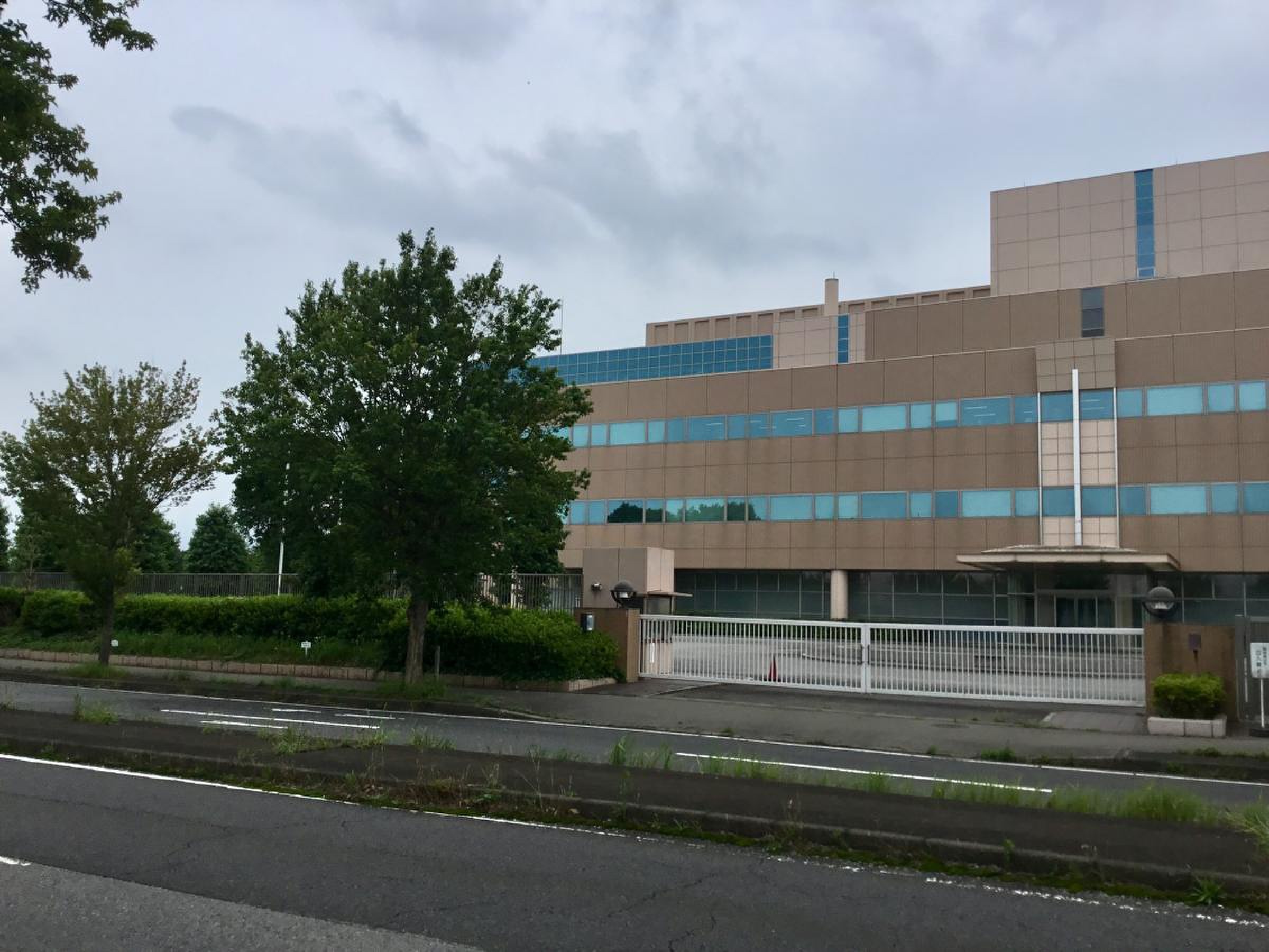 公の場での発言・インタビュー報道記録