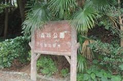 森林公園