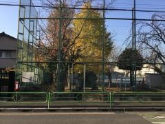 緑野小学校