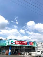 ドラッグスギヤマ千代田店