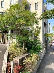 くわはたクリニック