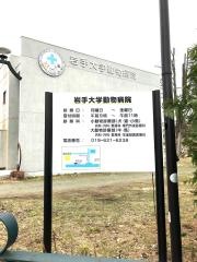岩手大学農学部　動物病院