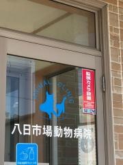 八日市場動物病院