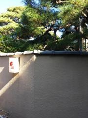 一葉