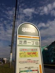 「芝原一丁目」バス停留所