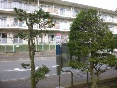 「市営住宅前」バス停留所