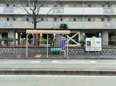 「浜甲子園」バス停留所