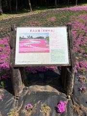 羊山公園（芝桜の丘）