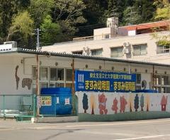 ますみ幼稚園