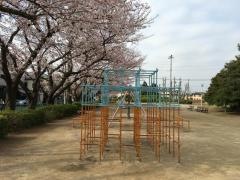 浅間台大公園