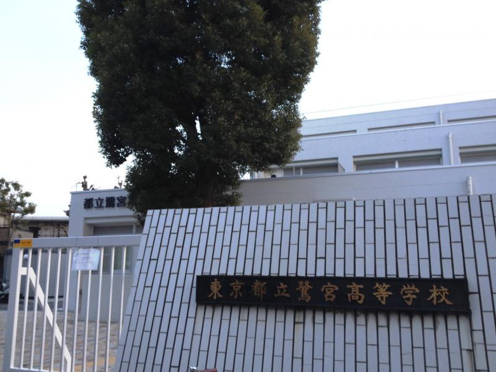 東京都立鷺宮高等学校／ホームメイト