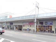ＥＣＴ