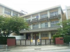 桜井小学校
