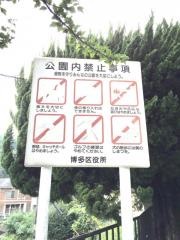 月隈公園