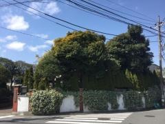 山手ロイストン教会