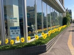 ウエインズトヨタ神奈川　川崎日進店
